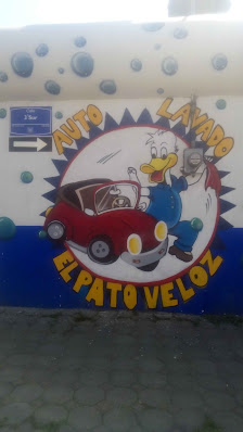 Auto Lavado Pato Veloz